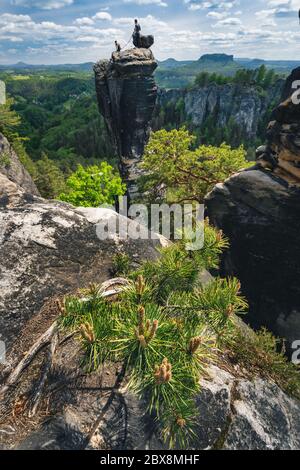 Unerkannte Silhouette von Bergsteigern mit dem Seil auf Berggipfel in berühmten Bastei Felsformation des Nationalparks Sächsische Schweiz, Deutschland. Kiefer Stockfoto