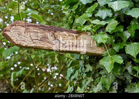 Altes Holzfußpfad Schild in South Wales bedeckt mit Efeu. Stockfoto