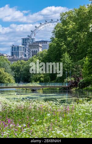 Großbritannien, England, London, Westminster St. James’s Park. Frühlingsblumen Gärten im königlichen Park mit dem London Eye und Gebäuden auf Whitehall Stockfoto