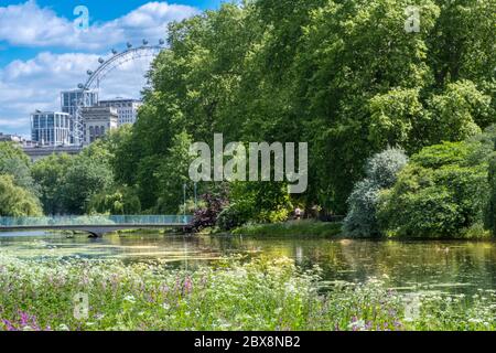 Großbritannien, England, London, Westminster St. James’s Park. Frühlingsblumen Gärten im königlichen Park mit dem London Eye und Gebäuden auf Whitehall Stockfoto