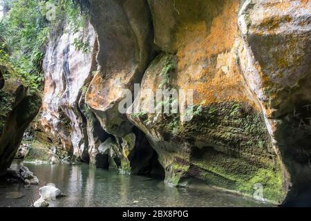 Bach in Kalkstein Schlucht, Patuna Chasm, Wairarapa, North Island, Neuseeland Stockfoto