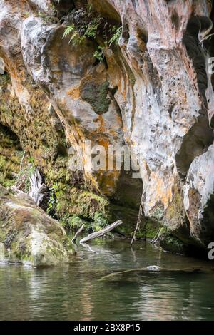 Bach in Kalkstein Schlucht, Patuna Chasm, Wairarapa, North Island, Neuseeland Stockfoto