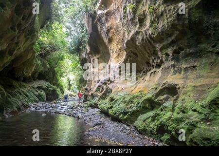 Menschen, die entlang des Baches in Kalksteinschlucht, Patuna Chasm, Wairarapa, Nordinsel, Neuseeland wandern Stockfoto