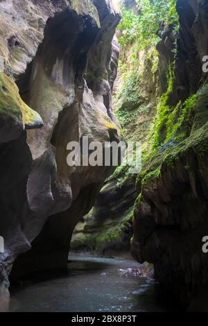 Bach in Kalkstein Schlucht, Patuna Chasm, Wairarapa, North Island, Neuseeland Stockfoto