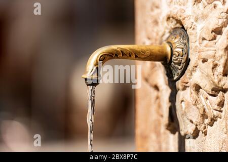 Extreme Nahaufnahme von Süßwasser, das aus einem Außenhahn in Form eines Tierkopfes fließt. Trento Stadt, Trentino Südtirol, Italien, Europa Stockfoto