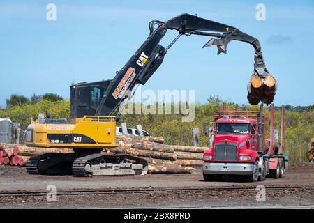 Kran Entladen von Baumstämmen von einem LKW in Whanganui, North Island, Neuseeland Stockfoto