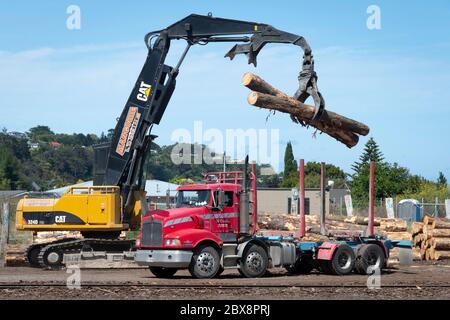 Kran Entladen von Baumstämmen von einem LKW in Whanganui, North Island, Neuseeland Stockfoto