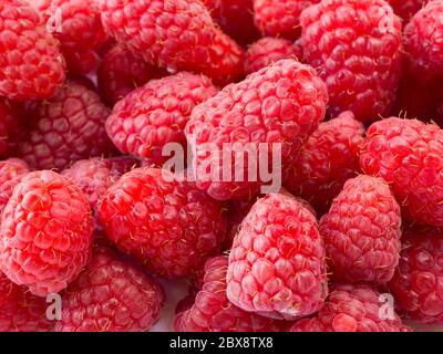 Hintergrund der Himbeeren. Frische Himbeeren Nahaufnahme. Draufsicht. Hintergrund der roten Beeren. Verschiedene frische Sommerfrüchte. Stockfoto