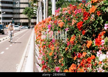 Zwei-Wege-Radweg an der Pont de les Flors in Valencia, Spanien. Stockfoto