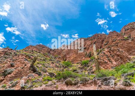 Farbenfrohe Berge im Parque Nacional Los Cardones (Nationalpark) in der Salta Provence, Argentinien Stockfoto