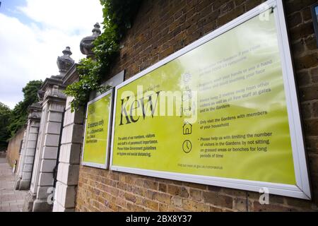 London, Großbritannien. 6. Juni 2020 der Royal Botanic Gardens, Kew, öffnet seine Türen zum ersten Mal seit der Sperrung für die Öffentlichkeit. Der Eintritt ist nur für Mitglieder und NHS-Mitarbeiter auf Zeitfenster beschränkt. Sie sind an diesem Wochenende ausverkauft. Andrew Fosker / Alamy Live News Stockfoto