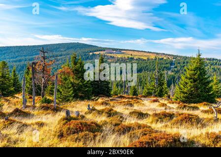 Grüne Waldlandschaft mit Velky Sisak und Vysoke Kolo, Riesengebirge, Riesengebirge, Tschechische Republik. Stockfoto