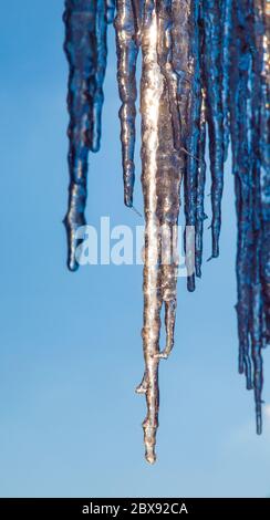 Detailansicht von Eiszapfen am sonnigen Wintertag mit klarem blauen Himmel Hintergrund. Stockfoto
