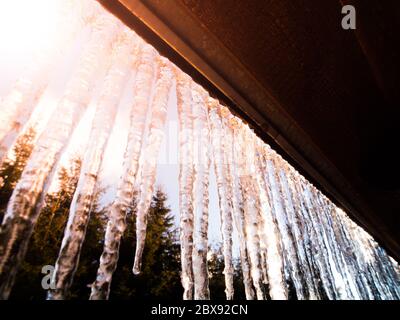 Viele helle und transparente Eiszapfen hängen auf dem Dach und werden von der Sonne beleuchtet. Stockfoto