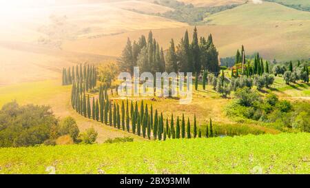 Abend in der Toskana. Hügelige toskanische Landschaft mit Zypressen Gasse und Bauernhaus, Italien. Stockfoto