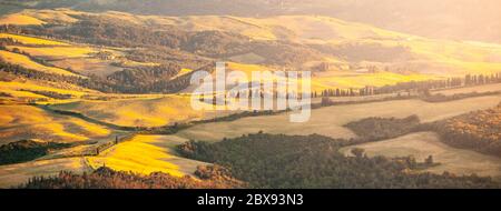 Abend in der Toskana. Hügelige toskanische Landschaft in goldener Stimmung bei Sonnenuntergang mit Silhouetten von Zypressen und Bauernhäusern in der Nähe von Montaione, Italien. Stockfoto