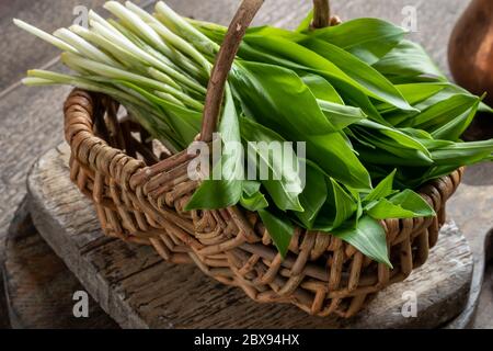 Frische junge Bärlauch Blätter in einem kleinen Korb auf einem Tisch Stockfoto