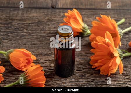 Eine dunkle Flasche ätherisches Öl mit orangen Ringelblumen Stockfoto