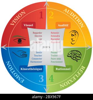 Diagramm mit vier Lernstilen, Tool für Life Coaching und in NLP - Französisch Stock Vektor