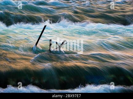 Wasser, das über die Wehre fließt, nimmt Fahrt auf, da es von Trümmern überströmt wird, die nach dem Taifun Hagibis von den jüngsten Überschwemmungen auf dem Tama River zurückgeblieben sind. Stockfoto