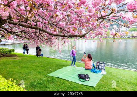 Mutter und Kind picknicken unter einem Kirschblütenbaum am See von Lille Lungegårdsvannet im Frühling in Bergen, Norwegen Stockfoto