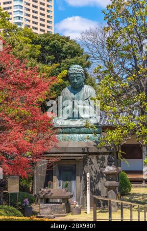 tokio, japan - märz 31 2020: Bronzestatue von Buddha Shaka Nyorai mit einer Steinlaterne und dem Satz möge der Frieden auf der Erde auf einem Friedenspol Pro siegen Stockfoto