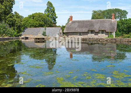 Der Ententeich im Dorf East Quantoxhead, Somerset, England, Großbritannien, mit einem Reethäuschen dahinter Stockfoto