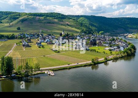 Blick von der Burg Metternich auf Ellenz-Poltersdorf und die Mosel , Rheinland-Pfalz, Deutschland Blick von der Burg Metternich nach Ellenz-Poltersdorf Stockfoto