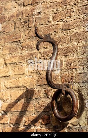 Antiker schmiedeeiserner Ring in Form einer Schlange oder eines Drachen zum Binden mit Seil an Tiere, Pferde, Maultiere oder Rinder. Bologna Innenstadt, Emilia-Romagna Stockfoto