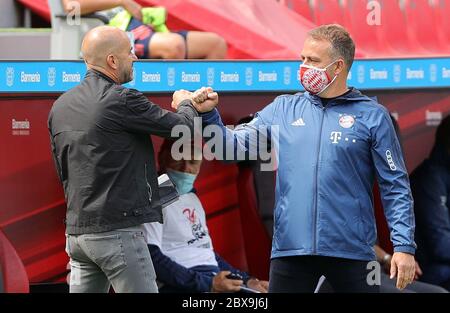 Leverkusen, 6. Juni 2020, Trainer Hansi FLICK (FCB), Teamchef, Headcoach, Trainer, Peter BOSZ, Headcoach Teamchef Leverkusen beim 1.Bundesliga-Spiel BAYER 04 LEVERKUSEN - FC BAYERN MÜNCHEN in der Saison 2019/2020:00 Spieltag 30. © Peter Schatz / Alamy Live News / Ralf Ibing/Firo/Pool - DFL-BESTIMMUNGEN VERBIETEN DIE VERWENDUNG VON FOTOS als BILDSEQUENZEN und/oder QUASI-VIDEO - Nationale und internationale Nachrichtenagenturen NUR zur redaktionellen Verwendung Quelle: Peter Schatz/Alamy Live News Stockfoto