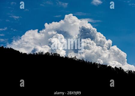 Schwarze Silhouette eines Waldes in Berg, Alpen, mit blauem Himmel und weißen Wolken. Trentino Alto Adige, Italien, Europa Stockfoto