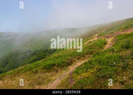 Nebel rollt über Cosgate Hügel in der Nähe von County Gate Parkplatz auf der A39 Somerset, England an einem sonnigen Sommertag. Teil des Exmoor National Park Stockfoto