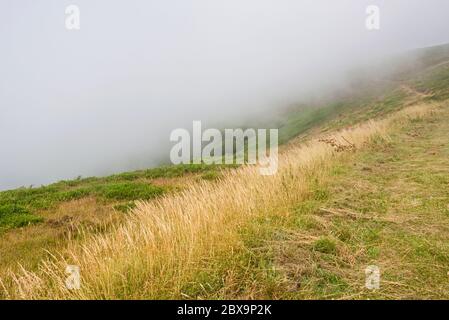 Nebel rollt über Cosgate Hügel in der Nähe von County Gate Parkplatz auf der A39 Somerset, England an einem sonnigen Sommertag. Teil des Exmoor National Park Stockfoto