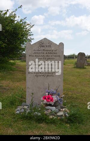 Blumen und Fossilien am Fuße des Grabsteins Mary Annings auf dem Friedhof der Kirche des Erzengels St. Michael in Lyme Regis, Dorset, England Stockfoto