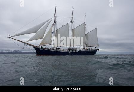 Das Segelschiff SV Rembrandt van Rijn segelt vor der Küste von Spitzbergen im Arktischen Ozean. Stockfoto