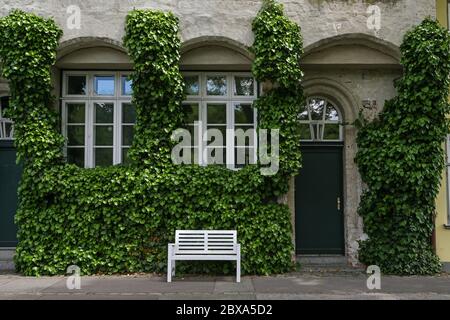 Efeu bewachsene Fassade an einem historischen Altstadthaus mit Muntin-Fenstern und einer weißen Bank im Zentrum der hansestadt Lübeck Stockfoto