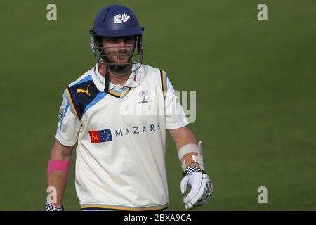 CHESTER LE STREET, ENGLAND - Yorkshire Kane Williamson verlässt das Feld, nachdem er am Sonntag, den 4. Mai 2014 während des County Championship Matches zwischen Durham und Yorkshire im Emirates Riverside, Chester le Street, County Durham 97 ausgefahren ist. Stockfoto