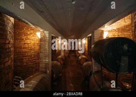 MENDOZA,ARGENTINA-MERCH 29: Innenansicht des Bodega La Rural Wine Museum während einer Weintour, um Touristen durch die Weinkellerei in der Gegend von mendo zu führen Stockfoto