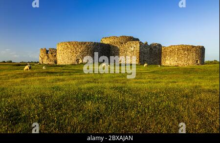 Sonnenuntergang auf den Ruinen von Camber Castle bei Rye in East Sussex im Südosten Englands Stockfoto