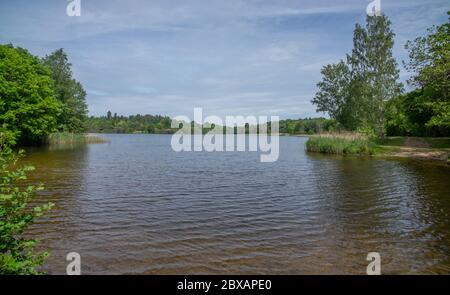 Virginia Water Lake und der Windsor Great Park in Surrey UK Stockfoto