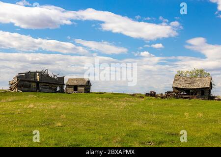 Alte Bauernhäuser und Scheunen, die in den Prärien von Saskatchewan gefunden wurden, die von den ersten Siedlern benutzt wurden und seit über 50 Jahren aufgegeben wurden. Stockfoto