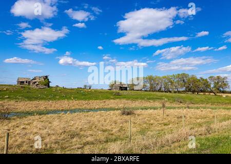 Alte Bauernhäuser und Scheunen, die in den Prärien von Saskatchewan gefunden wurden, die von den ersten Siedlern benutzt wurden und seit über 50 Jahren aufgegeben wurden. Stockfoto