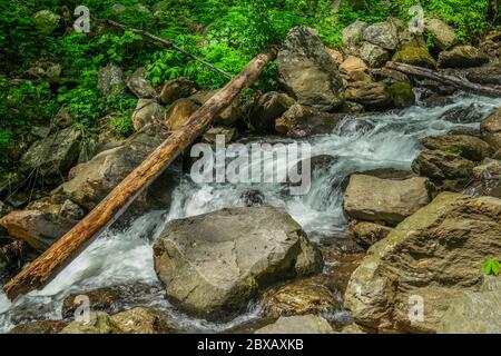 Wasser, das flussabwärts vom Wasserfall durch die Felsen und Felsbrocken stürzt und unter dem gefallenen Baum fließt, lauert auf einem hellen und sonnigen Stockfoto