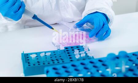 Forschungswissenschaftler für Coronavirus-Impfstoffe in PSA Stockfoto