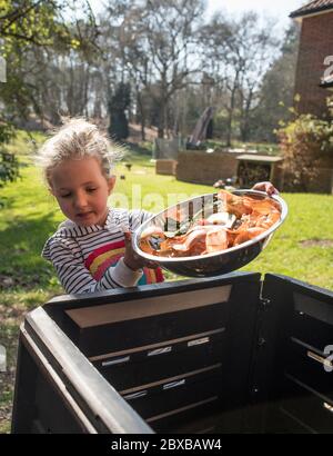 Corona Kompostierung, 4 Jahre altes Mädchen vor der Schule Entleeren der Komposteimer, immer Ihr Kind interessant im Garten. Corona Lockdown Gartenarbeit Stockfoto