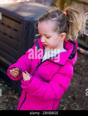 Pre-School-Mädchen Entleeren Kompostbehälter während Lockdown, Mädchen tragen rosa Mantel tun Kompostierung, Lehre Pre-School-Mädchen über Kompost Stockfoto