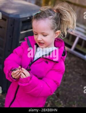 Pre-School-Mädchen Entleeren Kompostbehälter während Lockdown, Mädchen tragen rosa Mantel tun Kompostierung, Lehre Pre-School-Mädchen über Kompost Stockfoto