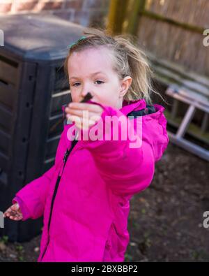 Corona Kompostierung, 4 Jahre altes Mädchen vor der Schule Entleeren der Komposteimer, immer Ihr Kind interessant im Garten. Corona Lockdown Gartenarbeit Stockfoto