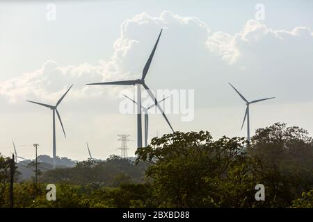 Windkraftanlagen, Provinz Guanacaste, Nord-Costa Rica, Mittelamerika, Costa Rica stellt den Großteil seines Strombedarfs über alternative Energien zur Verfügung Stockfoto