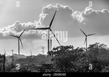 Windkraftanlagen, Provinz Guanacaste, Nord-Costa Rica, Mittelamerika, Costa Rica stellt den Großteil seines Strombedarfs über alternative Energien zur Verfügung Stockfoto